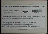 Image Associated With the Occurence